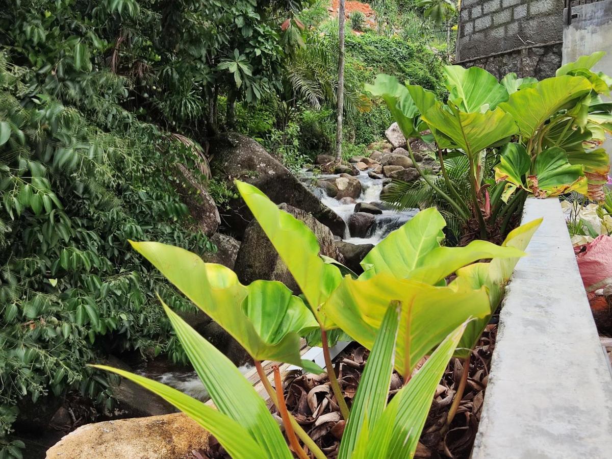 Riverside Mount Simpson - Seychelles Island Beau Vallon  Eksteriør billede