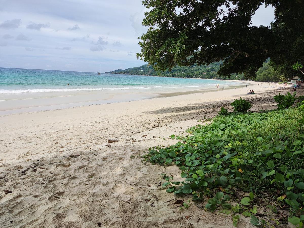 Riverside Mount Simpson - Seychelles Island Beau Vallon  Eksteriør billede